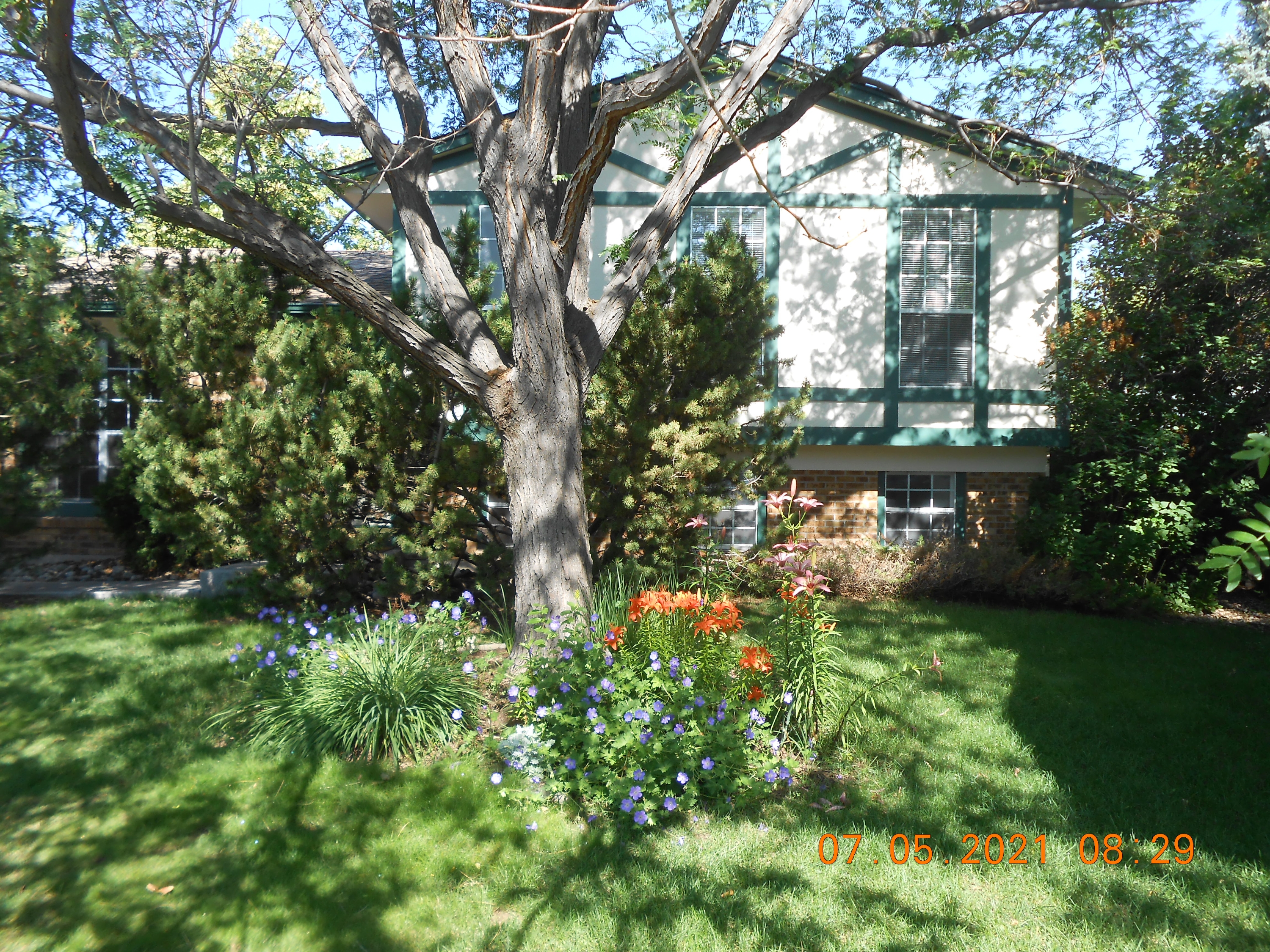 418 Chukar Court